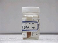 藏品(鬚棘吻魚)的圖片